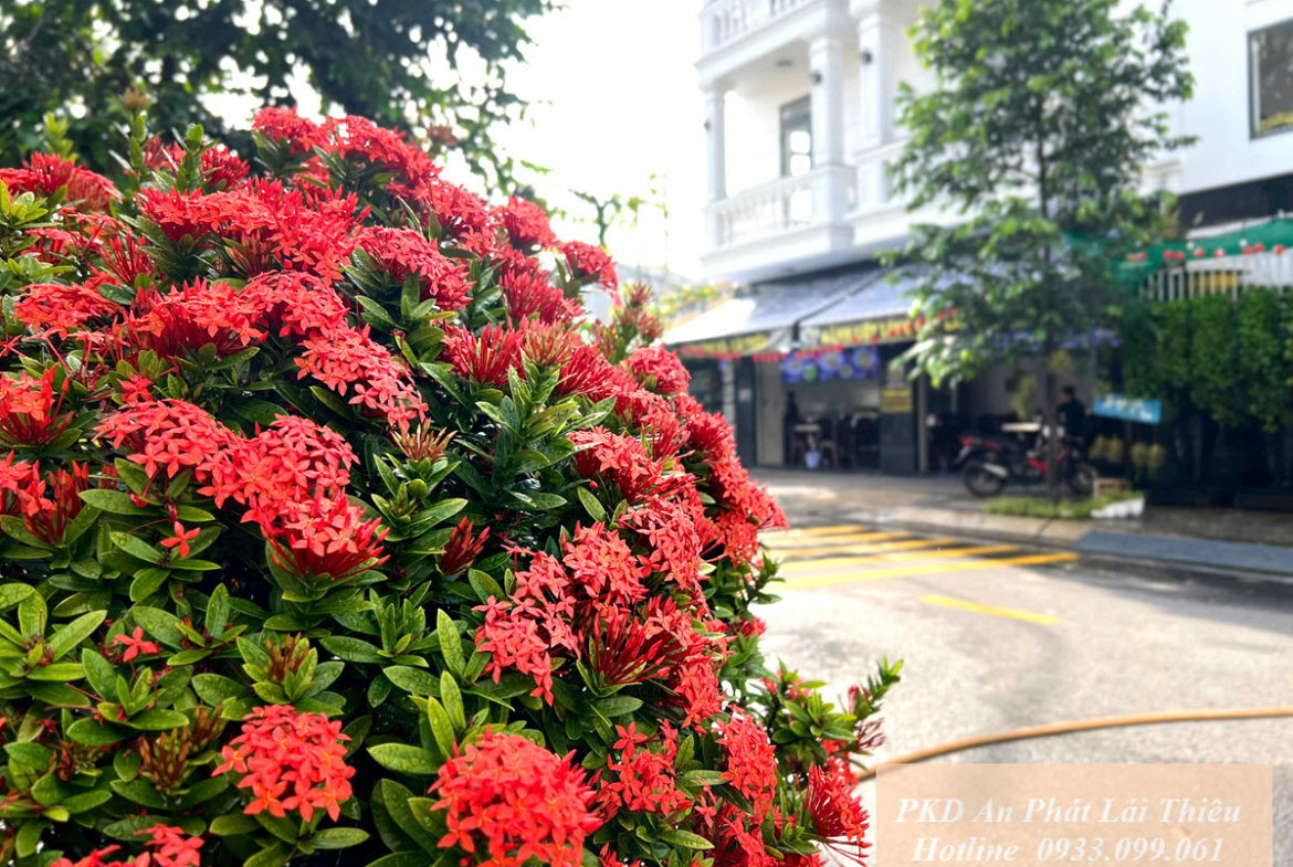 Bán nhà Thuận An