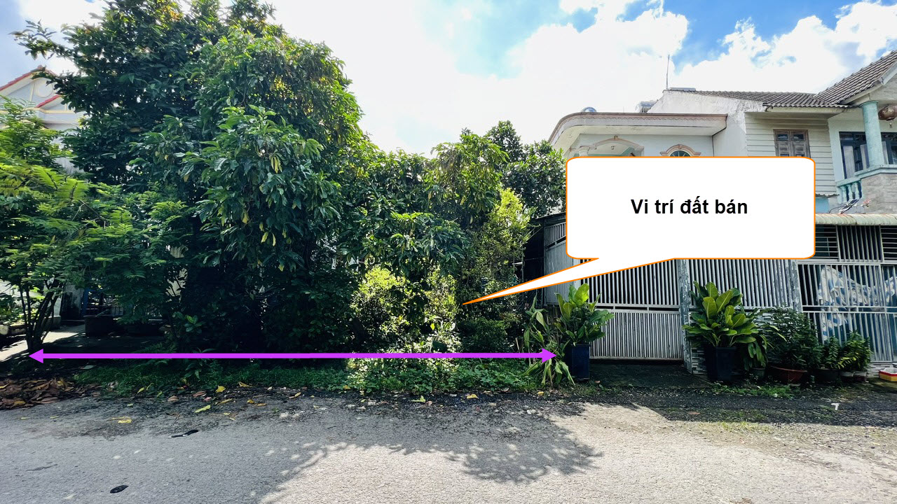 dat-ban-ngo-chi-quoc-binh-chieu-thu-duc