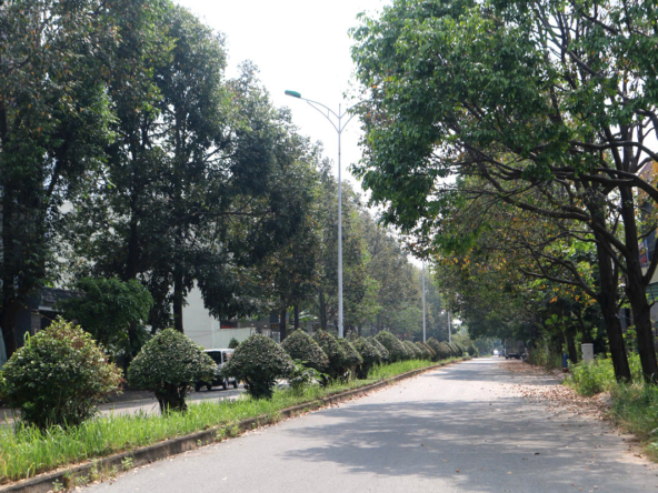 dat nen Vinh Phu Thuan An