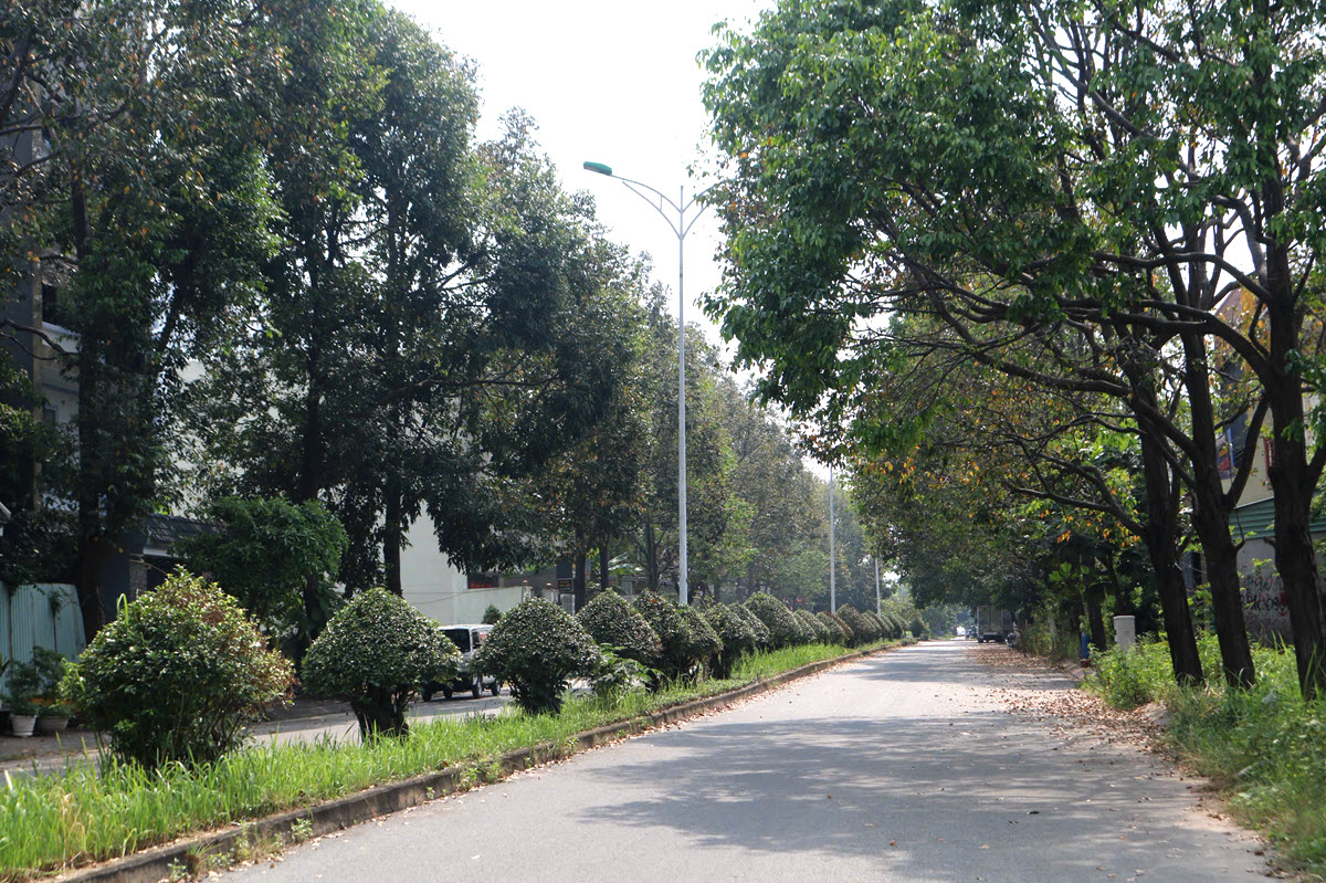 dat nen Vinh Phu Thuan An