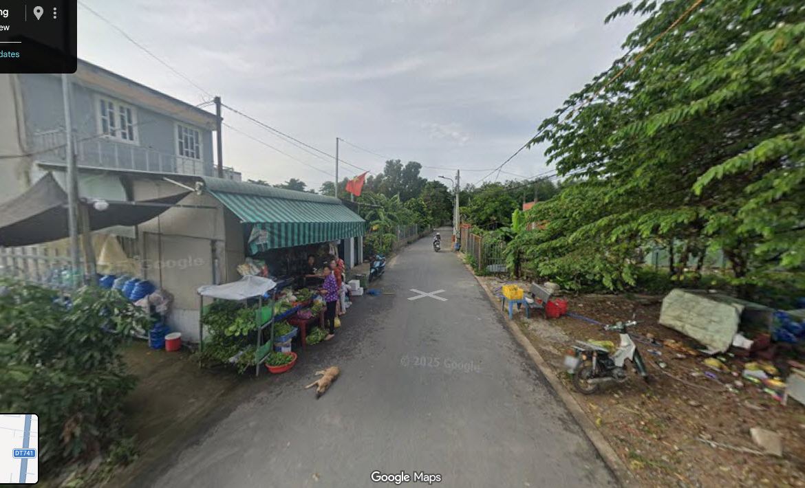 ban dat nen hoa loi ben cat