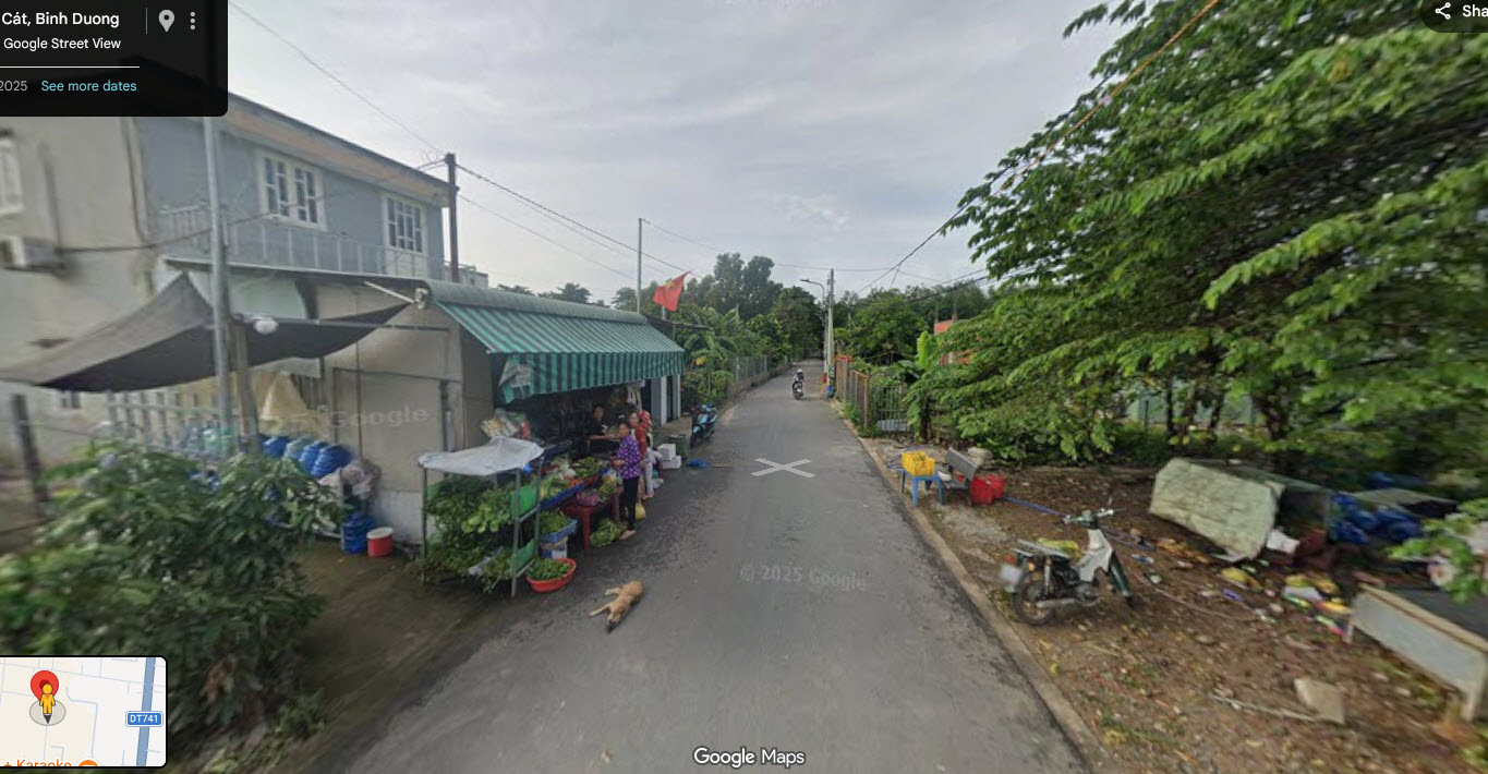 ban dat nen hoa loi ben cat